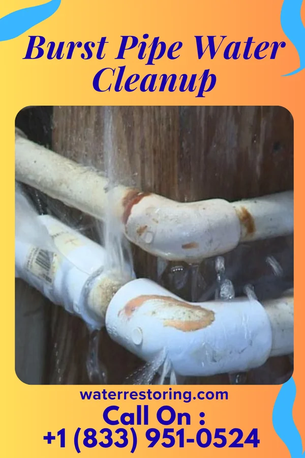Burst Pipe Water Cleanup in Shiloh, OH