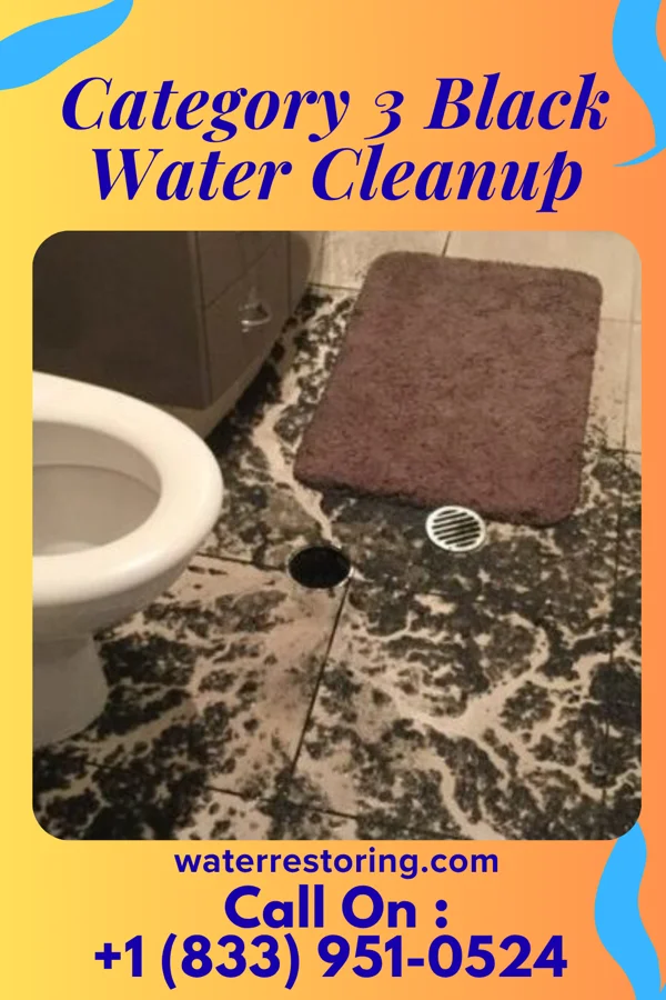 Category 3 Black Water Cleanup in Shiloh, OH